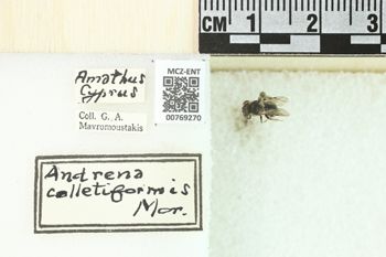 Media type: image;   Entomology 769270 Aspect: Labels